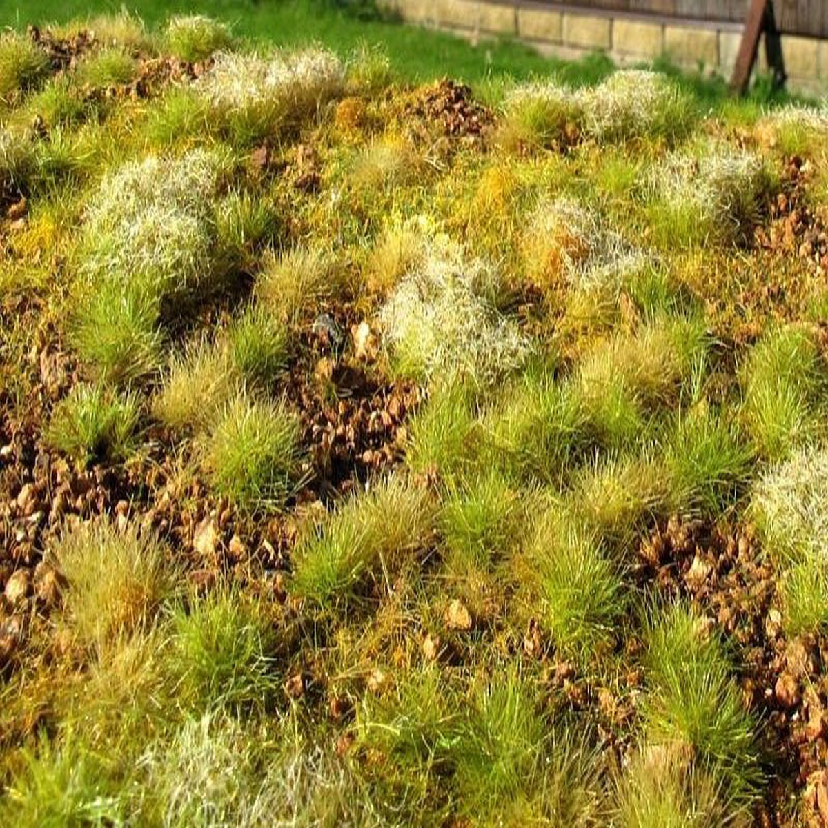 Model Scene F534 Stony Steppe, Late Summer