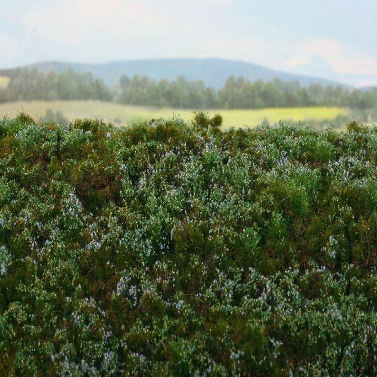 Model Scene F620 Forest Floor – Blueberries