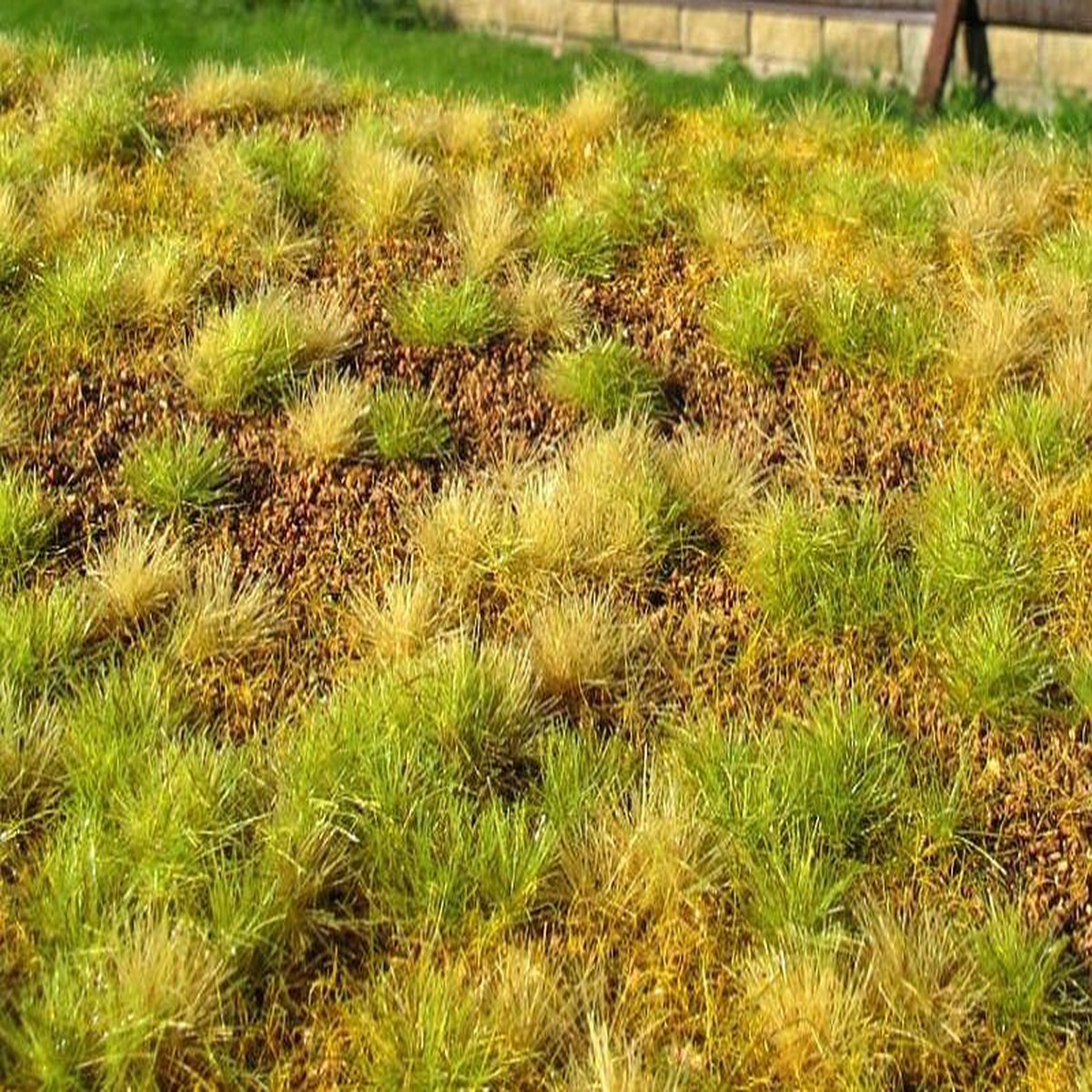 Model Scene F533 Steppe Unwatered (Late Summer)