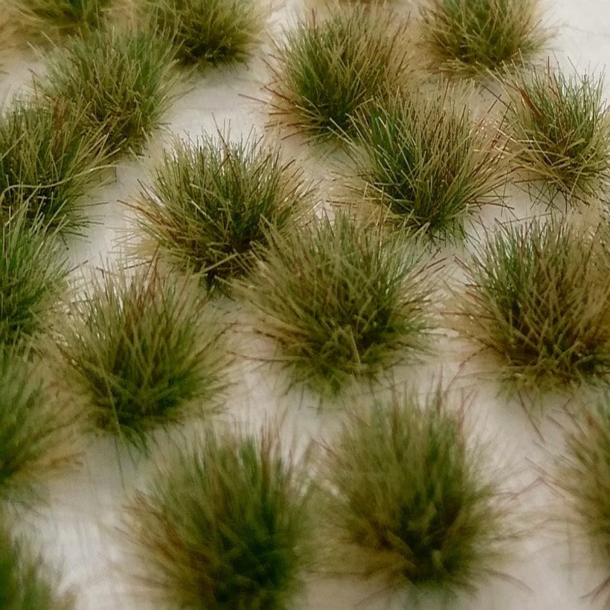 Model Scene MSC-050-43s Two Colored Tufts Late Summer